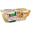 BLEDINA BOLS Ecrasé de Pommes de Terre Poulet en persillade 2x200g Dès 8 mois