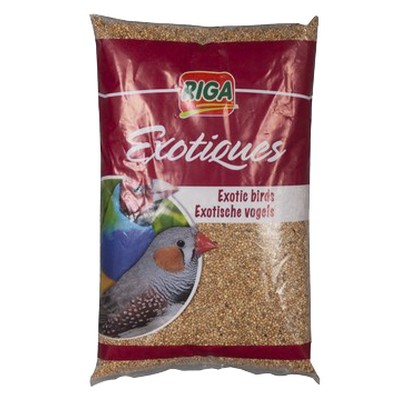 1KG MELANGE EXOTIQUE RIGA