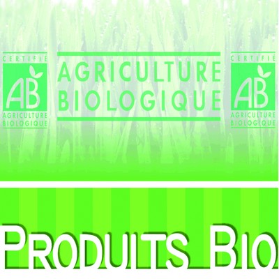 Kinder Happy Hippo Biscuits filled with cocoa x5 - 103.5g