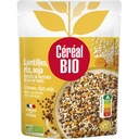 ORGANIC Lentils Rice Soy Doypack 250g