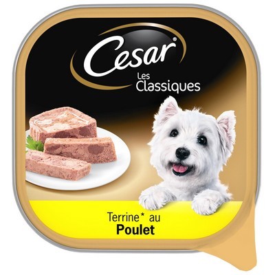 CESAR Barquette LES TERRINES CLASSIQUES au poulet pour chien adulte 300g