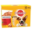 PEDIGREE Sachets fraîcheur en gelée 4 variétés pour chien 12x100g