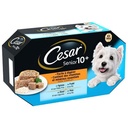 CESAR Delicate Jelly Trays 4 Varieties for Senior Dogs 4x150g