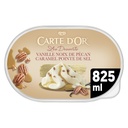 Carte D'Or Vanilla Ice Cream with Pecan & Salted Caramel 825ml