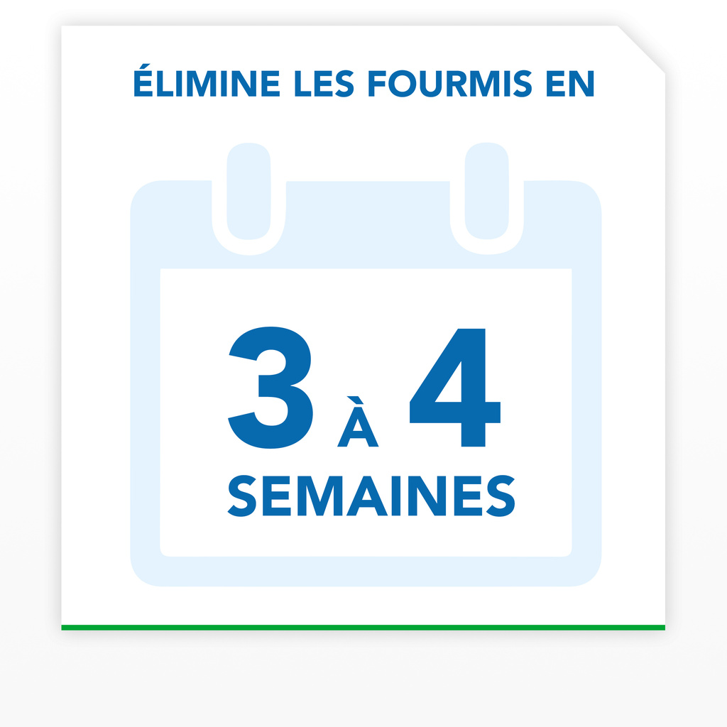 Raid MAX® Système anti-fourmis - 1 piège