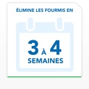 Raid MAX® Système anti-fourmis - 1 piège