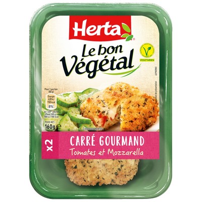 VEGETABLE GOURMET SQUARE WITH HERBS X2