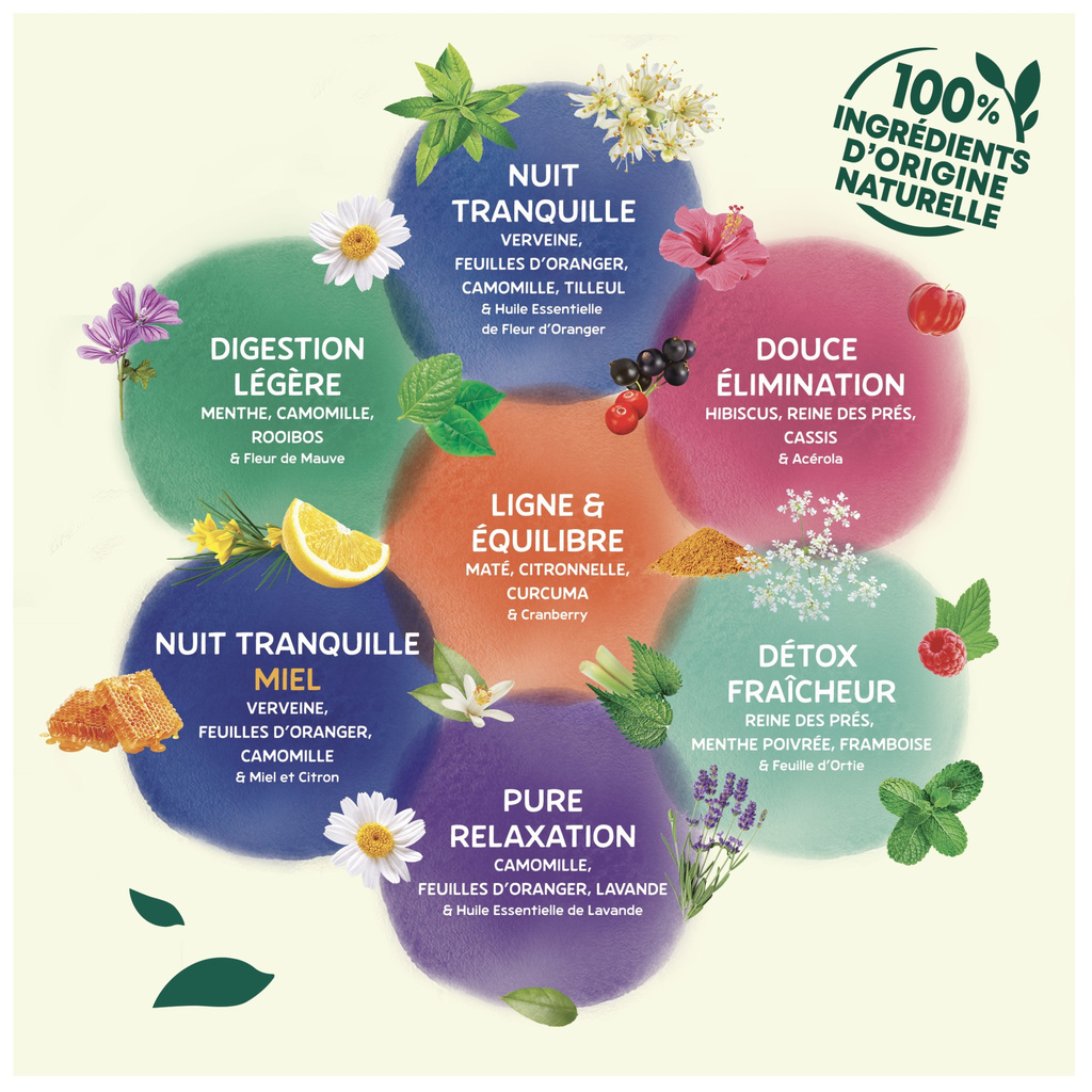 ELEPHANT Infusion Digestion Légère 20 Sachets x12 FR