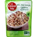 Organic Cereal Pouch Wheat Red Rice Quinoa 220g