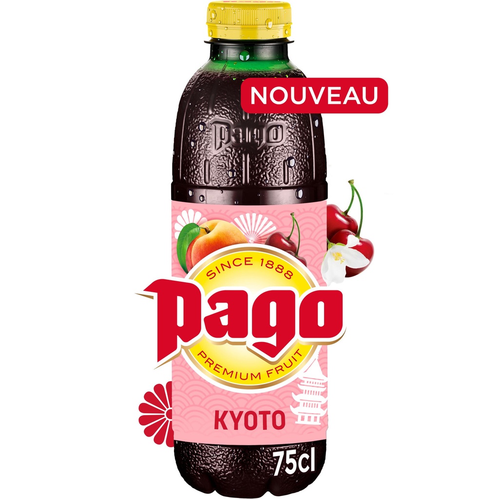 B75CL DESTINATION KYOTO PAGO
