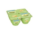 Danette Pistachio Flavored Dessert Cream 4x125g