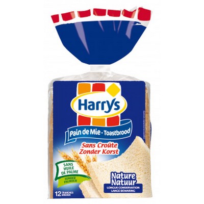 500G PAIN DE MIE SS CROUTE LC HARRYS