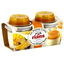 PANNA COTTA RIANS MANGUE PASSION 2X120G