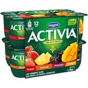 Activia Yaourt aux fruits bifidus 12x125g