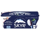 RAY Yoplait Skyr on Blueberry Layer 100g x4