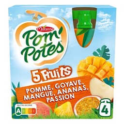 [04407] POM'POTES Compotes Gourdes 5 Fruits Exotiques 4x90g