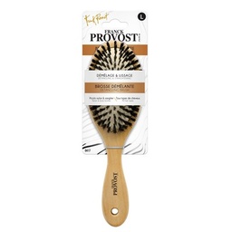 [27343] BL X1 BROSSE PICOT NYLON/SANGLIER F.PROV