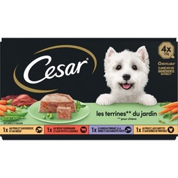 [09638] CESAR Barquettes LES TERRINES DU JARDIN 4 variétés pour chien adulte 4x150g