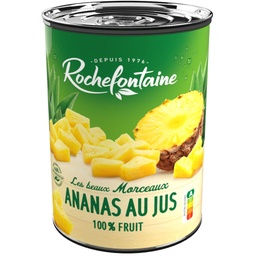 [34743] ROCHEFONTAINE ANANAS EN MORCEAUX AU JUS  567G