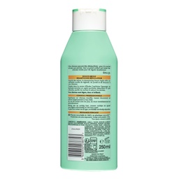 [31058] DESSANGE SHAMPOOING 250 ML DOUCE ARGILE