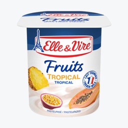 [32362] POT 4X125G DESSERT TROPICAL ELLE&VIRE