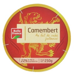 [35761] CAMEMBERT 45%MG.250G   BF
