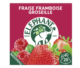 [22133] ELEPHANT FRAIS FRAMB MENTHE 20PYRx12 FR