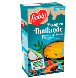 [40993] VOYAGE EN THAILANDE  1L