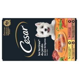 [24898] CESAR Barquettes LES TERRINES DU JARDIN coeur de légumes pour chien adulte 4x150g
