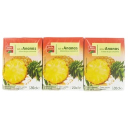 [13940P] JUS D ANANAS ABC BF BRIQUETTE 6 X 20 CL