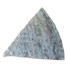 [39666] KG ST NECT FERM.2/300G