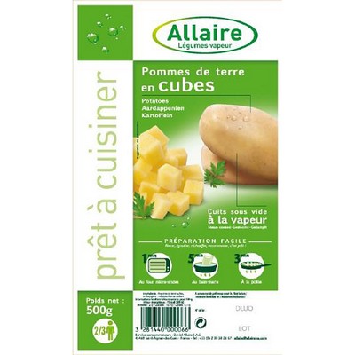 [29118] BT500G PDT CUBE CUIT VAPEUR ALLAIRE