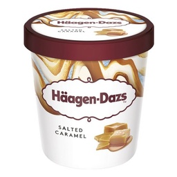 [10119] Häagen-Dazs Pot Salted Caramel 460ml
