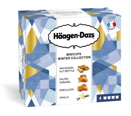 [21873] Häagen-Dazs Minipots Fruit Collection x4 380ml
